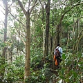 阿柔洋山.文山區忠魂碑、畜魂碑 048