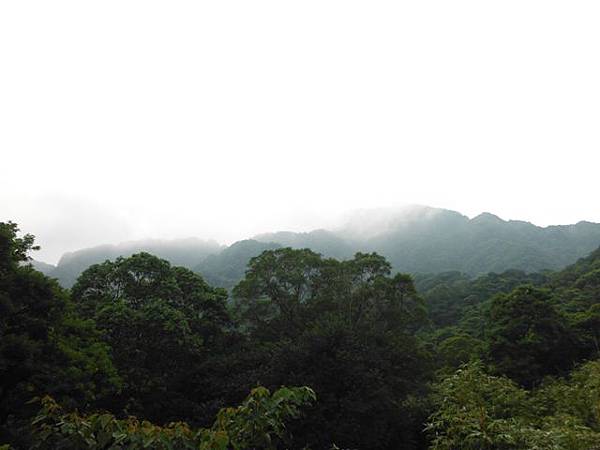 阿柔洋山.文山區忠魂碑、畜魂碑 058