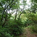 東小坪頂山.興華坑山.虎頭山.聖本篤山 105