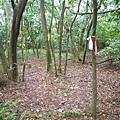 東小坪頂山.興華坑山.虎頭山.聖本篤山 106