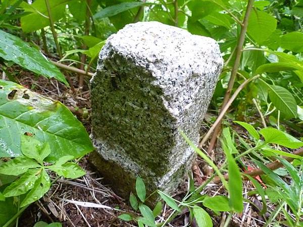 東小坪頂山.興華坑山.虎頭山.聖本篤山 137