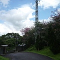 東小坪頂山.興華坑山.虎頭山.聖本篤山 155