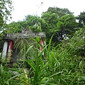 深坑庄山.深坑忠魂碑.業先生的開心農場.意學坑自然公園.中秋烤肉 032