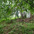 深坑庄山.深坑忠魂碑.業先生的開心農場.意學坑自然公園.中秋烤肉 045