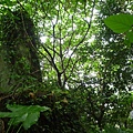 深坑庄山.深坑忠魂碑.業先生的開心農場.意學坑自然公園.中秋烤肉 058