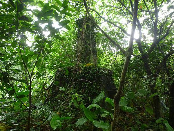 深坑庄山.深坑忠魂碑.業先生的開心農場.意學坑自然公園.中秋烤肉 064