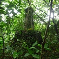 深坑庄山.深坑忠魂碑.業先生的開心農場.意學坑自然公園.中秋烤肉 064