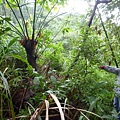 深坑庄山.深坑忠魂碑.業先生的開心農場.意學坑自然公園.中秋烤肉 071