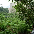 深坑庄山.深坑忠魂碑.業先生的開心農場.意學坑自然公園.中秋烤肉 078