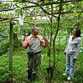 深坑庄山.深坑忠魂碑.業先生的開心農場.意學坑自然公園.中秋烤肉 092