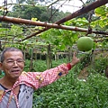 深坑庄山.深坑忠魂碑.業先生的開心農場.意學坑自然公園.中秋烤肉 102