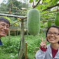 深坑庄山.深坑忠魂碑.業先生的開心農場.意學坑自然公園.中秋烤肉 106