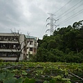 深坑庄山.深坑忠魂碑.業先生的開心農場.意學坑自然公園.中秋烤肉 113