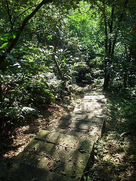 三層崎山.土庫岳 080