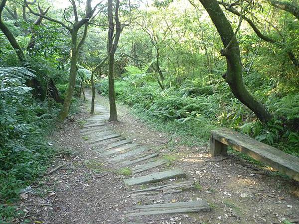 三層崎山.土庫岳 091