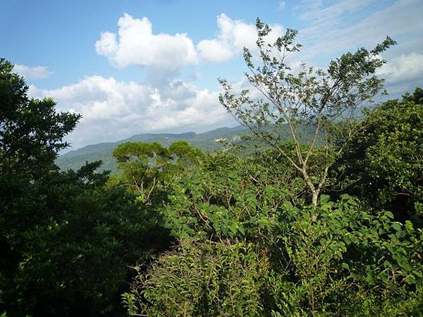 三層崎山.土庫岳 100