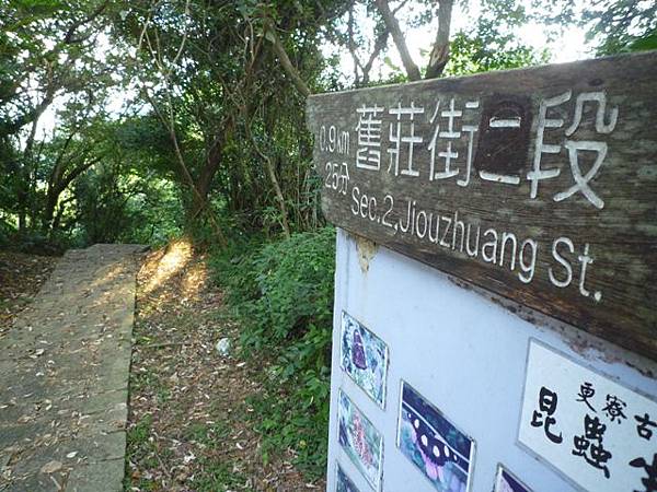 三層崎山.土庫岳 116