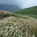 大屯山主峰.西峰.南峰.重輪機車 032