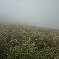 大屯山主峰.西峰.南峰.重輪機車 040