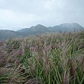 大屯山主峰.西峰.南峰.重輪機車 044