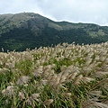 大屯山主峰.西峰.南峰.重輪機車 062