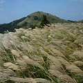 大屯山主峰.西峰.南峰.重輪機車 063