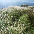 大屯山主峰.西峰.南峰.重輪機車 087