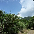 大屯山主峰.西峰.南峰.重輪機車 105