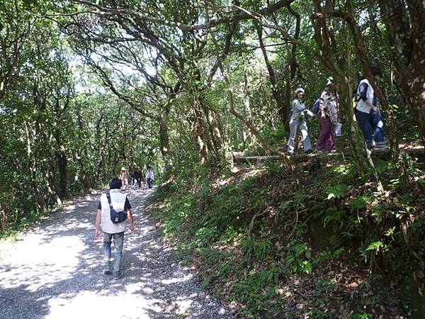 大屯山主峰.西峰.南峰.重輪機車 118