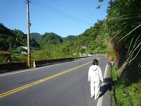 永定坑山 021