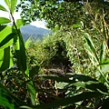 草地尾山.中央坑山.阿屘尖 044
