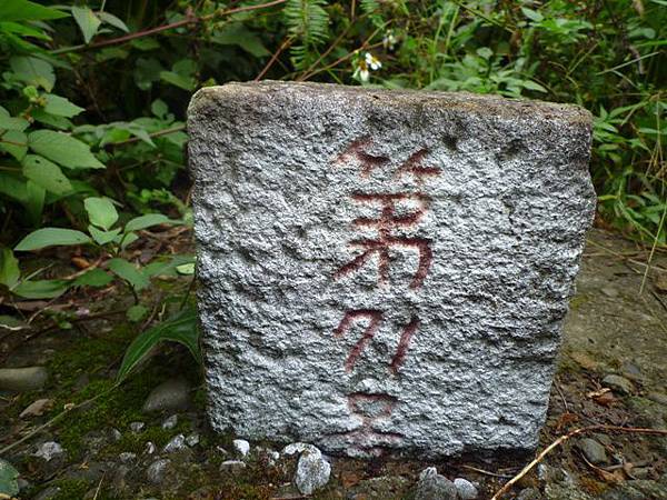 茅草埔山.四分里山.九五峰.南港山.拇指山.象山 070