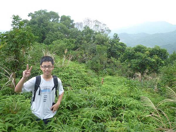 茅草埔山.四分里山.九五峰.南港山.拇指山.象山 075