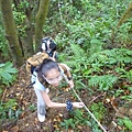 茅草埔山.四分里山.九五峰.南港山.拇指山.象山 088