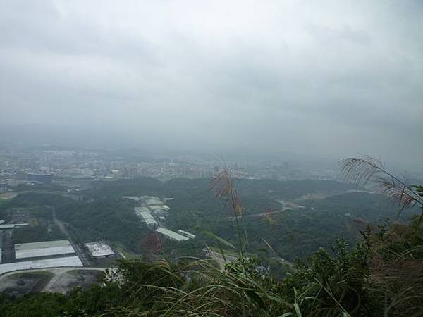 茅草埔山.四分里山.九五峰.南港山.拇指山.象山 101