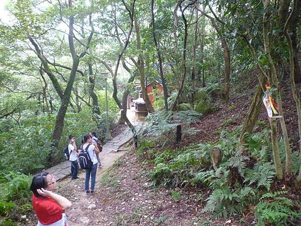 茅草埔山.四分里山.九五峰.南港山.拇指山.象山 108