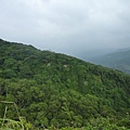 茅草埔山.四分里山.九五峰.南港山.拇指山.象山 144