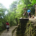 茅草埔山.四分里山.九五峰.南港山.拇指山.象山 152