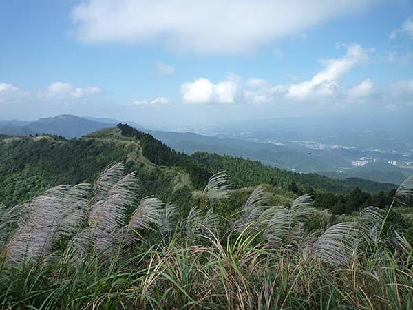 五分山.基隆山.無耳茶壺山 059