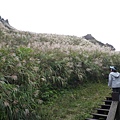 五分山.基隆山.無耳茶壺山 228