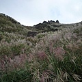 五分山.基隆山.無耳茶壺山 232