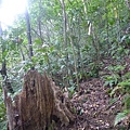 下橫屏山南峰.主峰.東峰 033