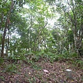 下橫屏山南峰.主峰.東峰 060