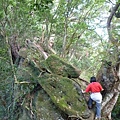 草地尾山.中央坑山.阿屘尖 141