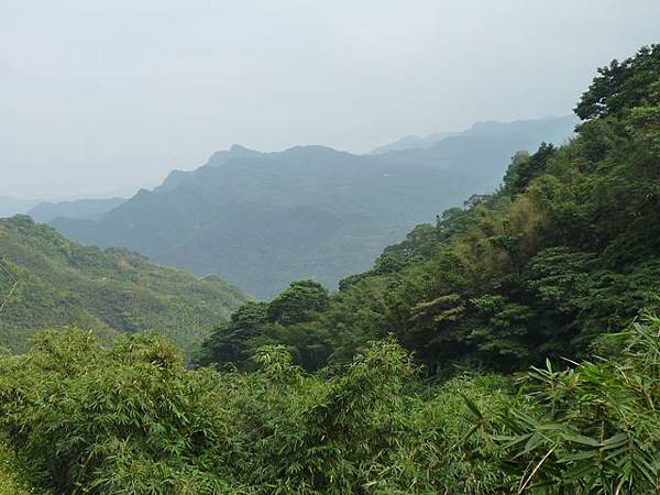 草地尾山.中央坑山.阿屘尖 217