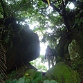 串空湖古道.九芎坑山 040