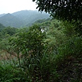 串空湖古道.九芎坑山 042