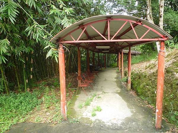 串空湖古道.九芎坑山 049