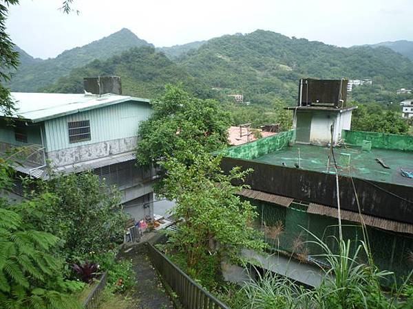 串空湖古道.九芎坑山 055