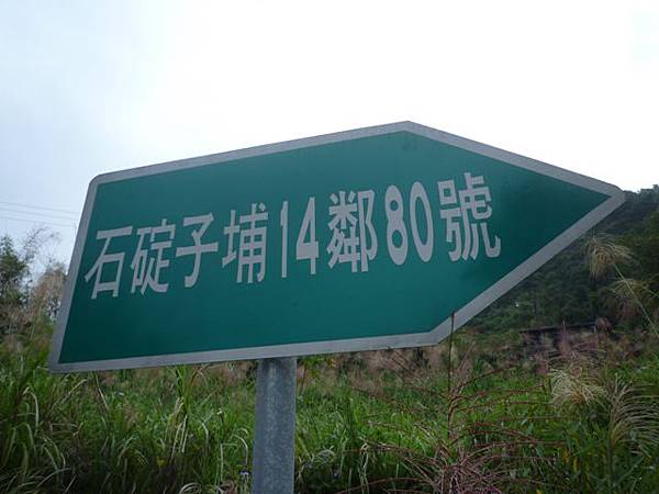 串空湖古道.九芎坑山 057